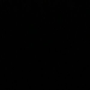 Meet your Posher, Luis